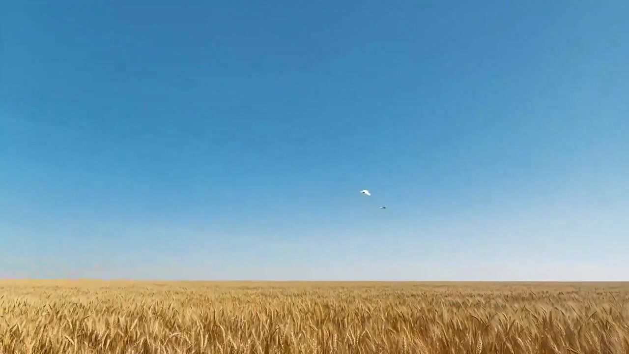 Surreal Megalophobia Scene