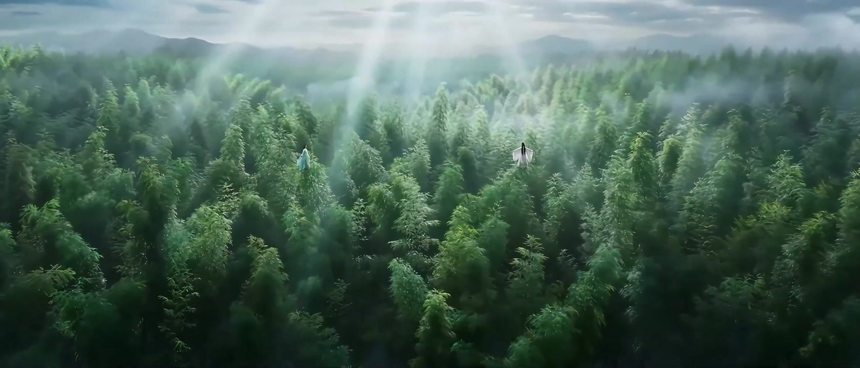 Classic Wuxia Duel in Bamboo Forest