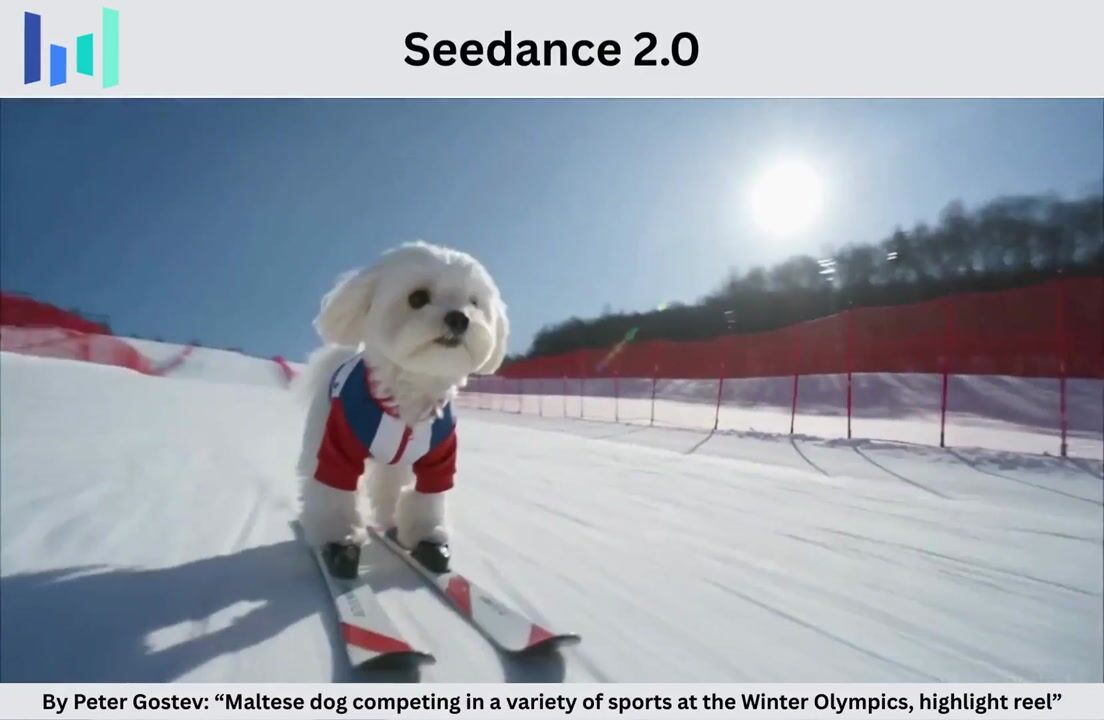 Maltese Dog at Winter Olympics